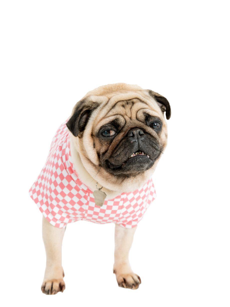 Bubble Gum Pembe Kapüşonlu Sweatshirt Köpek Kıyafeti - Mahfelle
