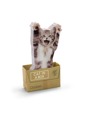 Cat in a Box - Notluk - Mahfelle