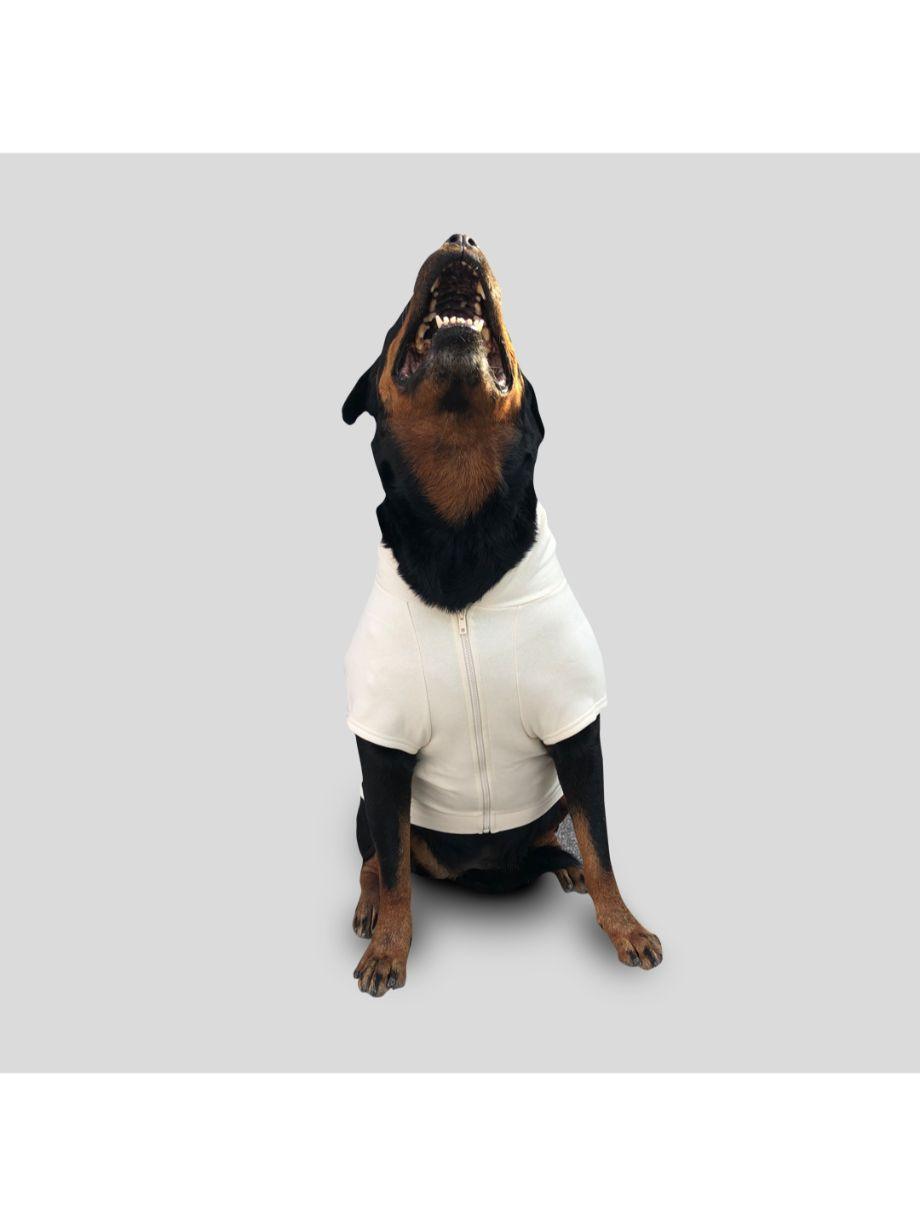 Ivory Bej Fermuarlı Kapüşonlu Sweatshirt Köpek Kıyafeti - Mahfelle