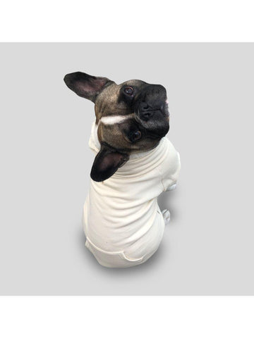 Ivory Bej Fermuarlı Kapüşonlu Sweatshirt Köpek Kıyafeti - Mahfelle