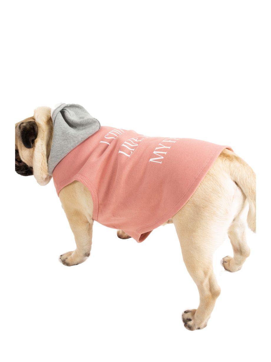 Mary Pembe Gri Baskılı Sweatshirt Köpek Kıyafeti - Mahfelle