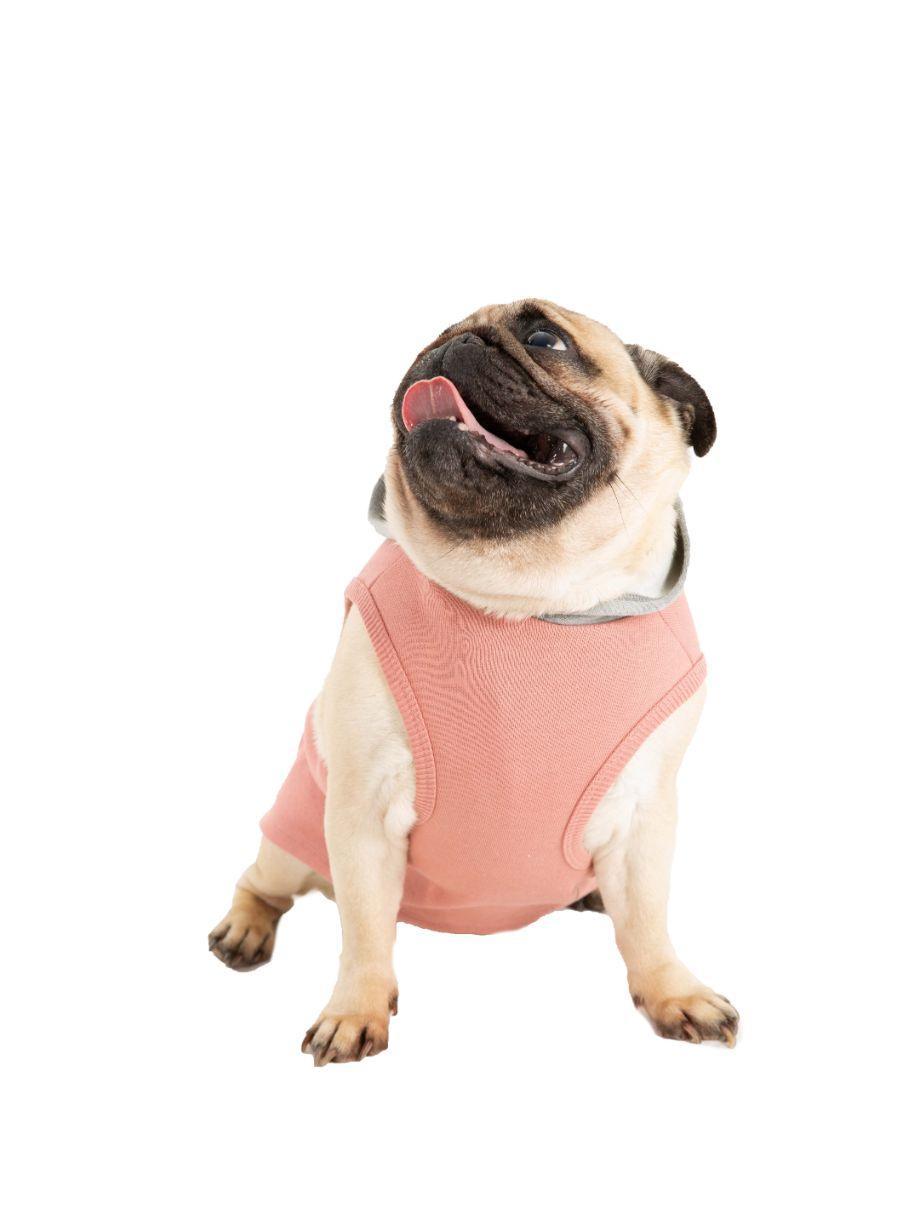 Mary Pembe Gri Baskılı Sweatshirt Köpek Kıyafeti - Mahfelle